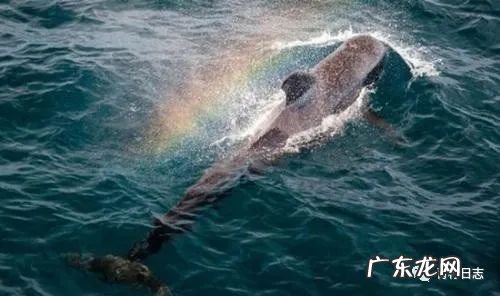 有哪些科学小常识?