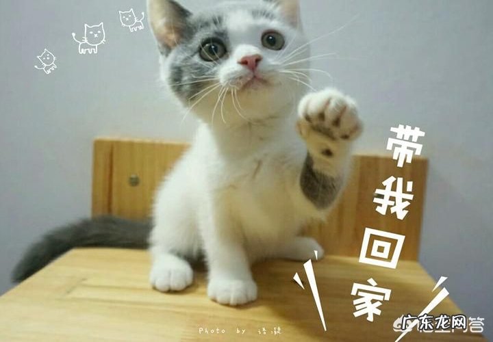 成人英语零基础自学哪款软件比较好?