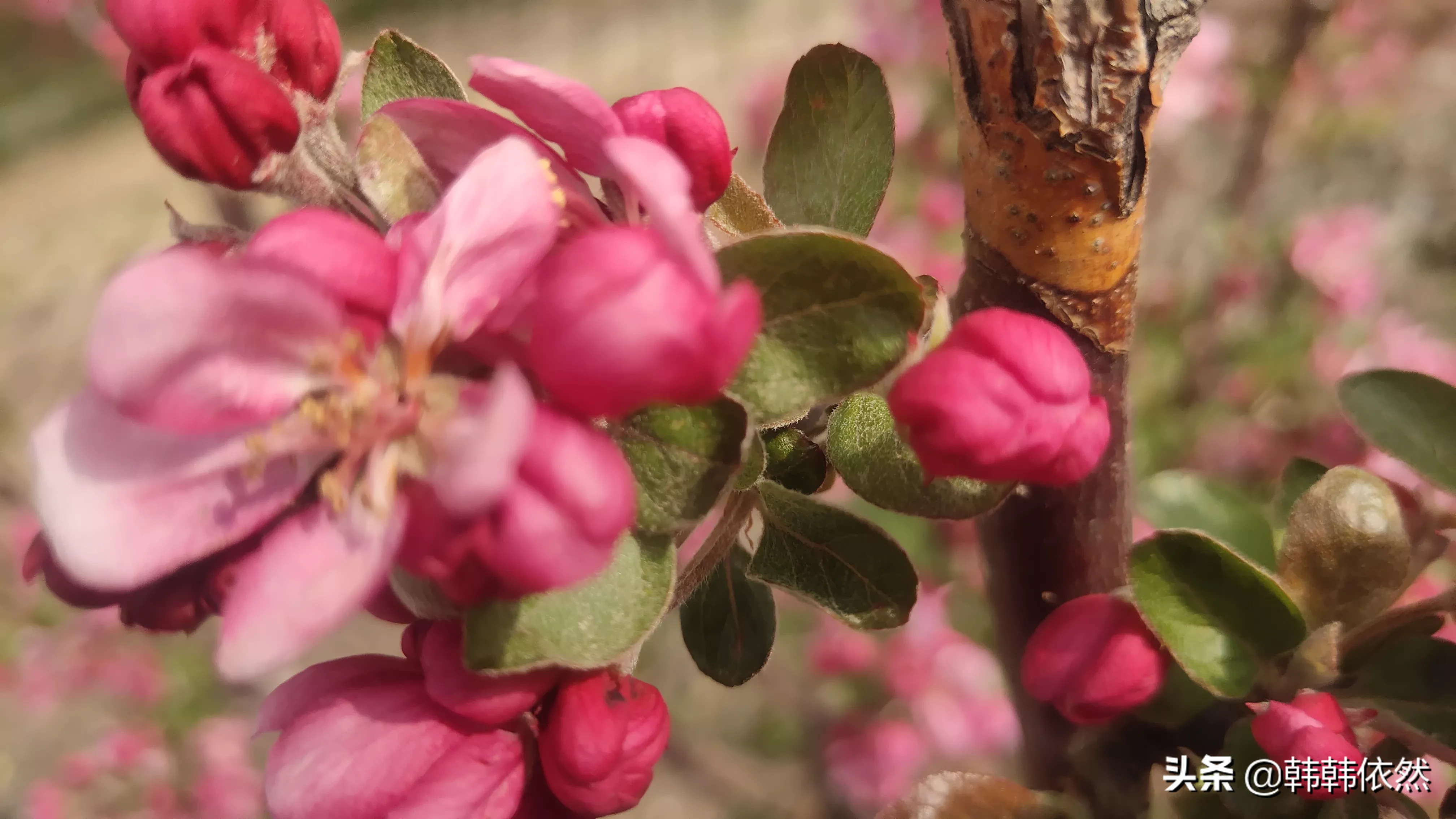 我觉得自己看起来特别土气,怎么能让自己变得有气质,洋气一些呢?