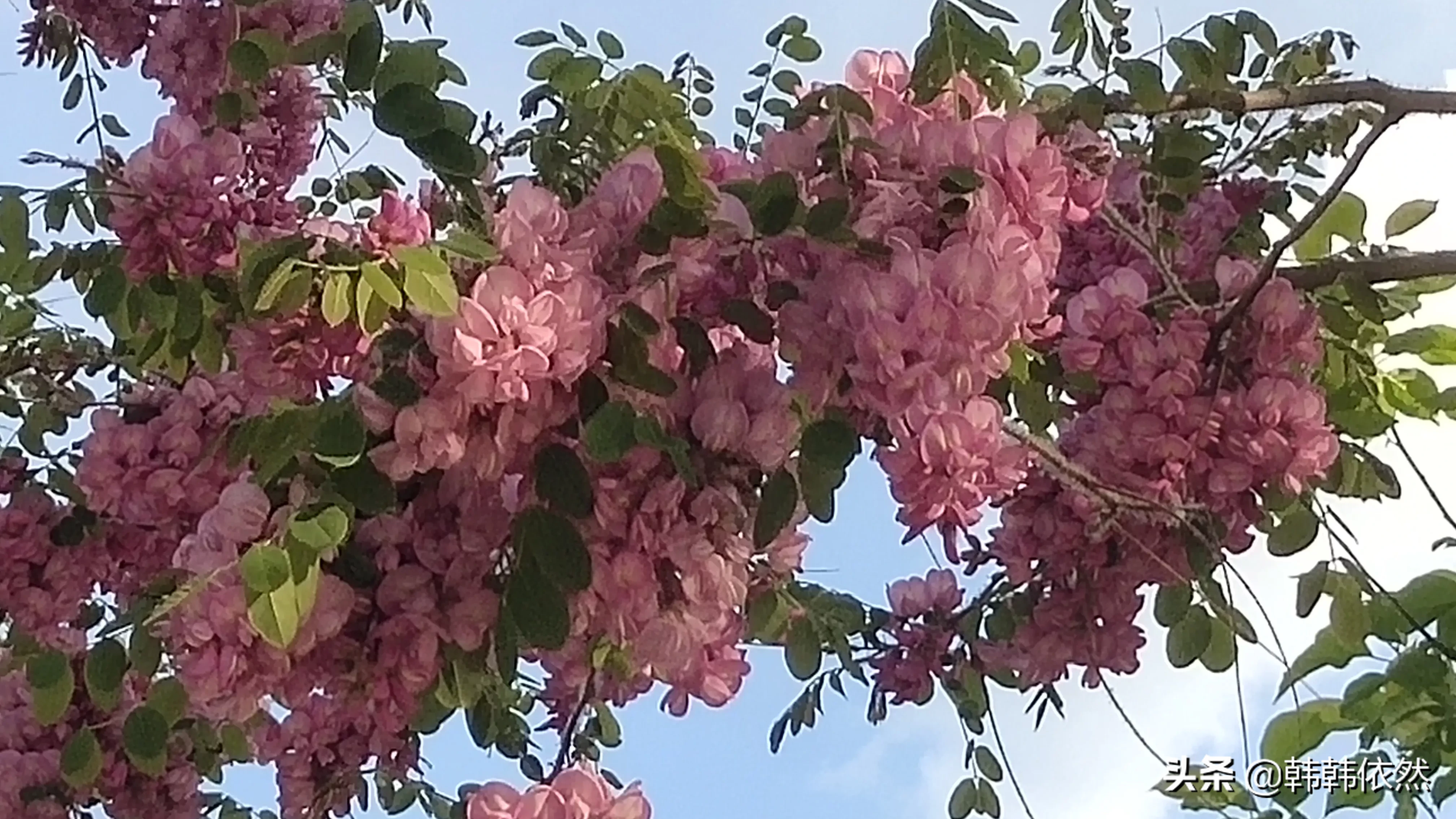 我觉得自己看起来特别土气,怎么能让自己变得有气质,洋气一些呢?