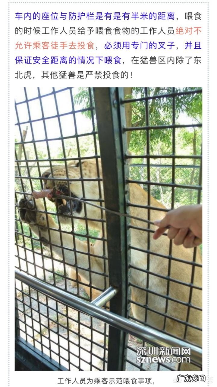 怎么看待上海野生动物园发生群熊撕咬饲养员的安全事故?