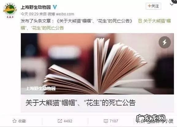 怎么看待上海野生动物园发生群熊撕咬饲养员的安全事故?