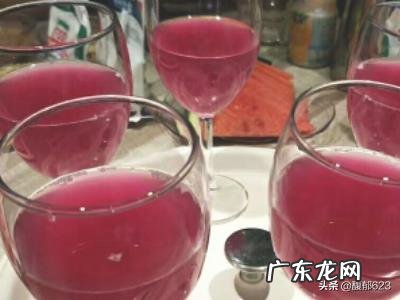 水果饮品做法大全?