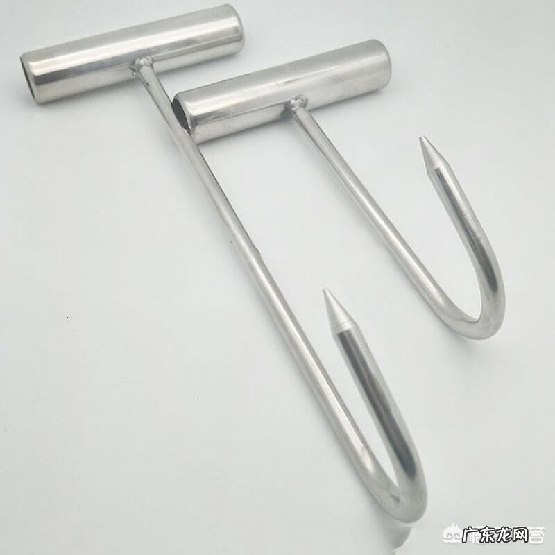 杀猪怎样才能让猪死得快?