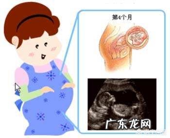 怀孕已经有16周了，应该有什么反应？