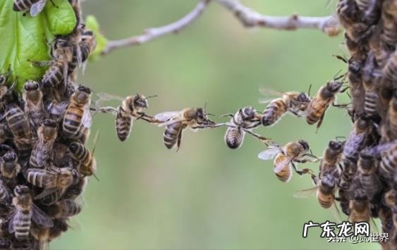 手下的人做事总是做不好但态度很好,我该不该帮她完成?