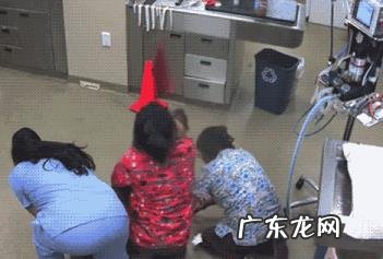 有哪些搞笑的笑话和图片分享一下?