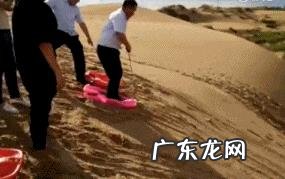 有哪些搞笑的笑话和图片分享一下?