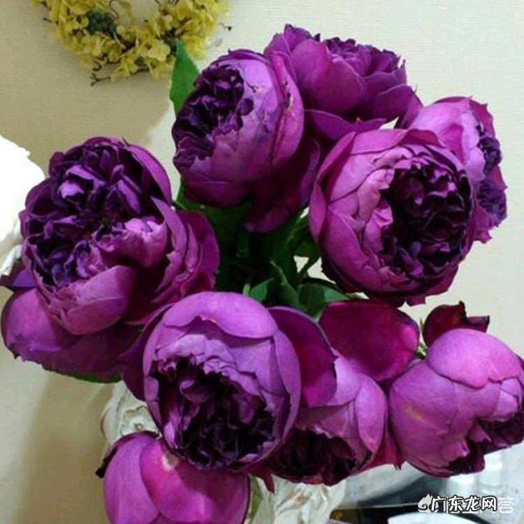 母亲节,一句话形容自己心中独一无二的母亲?