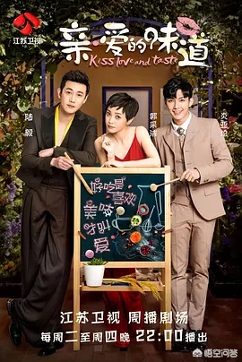 如何评价由陆毅、郭采洁主演的电视剧《亲·爱的味道》？