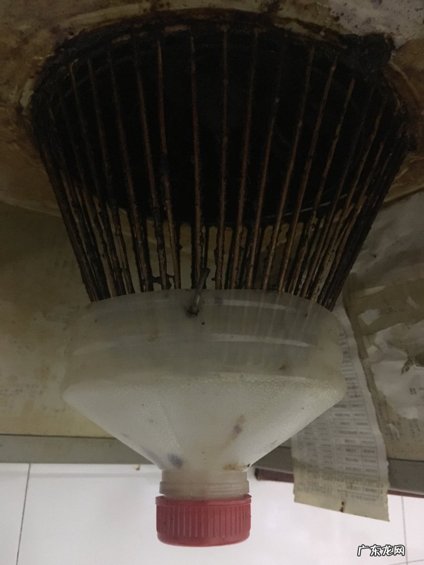 废物利用手工制作有哪些呢？