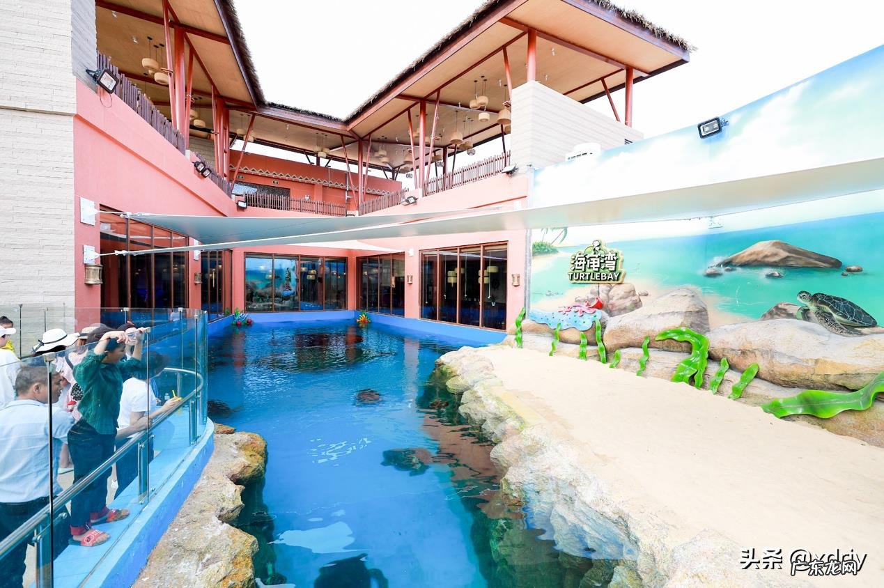 春节去三亚,白天在呀诺达热带雨林玩完后晚上去哪里玩?