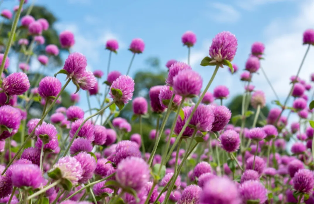 有哪些唯美治愈系短句子?