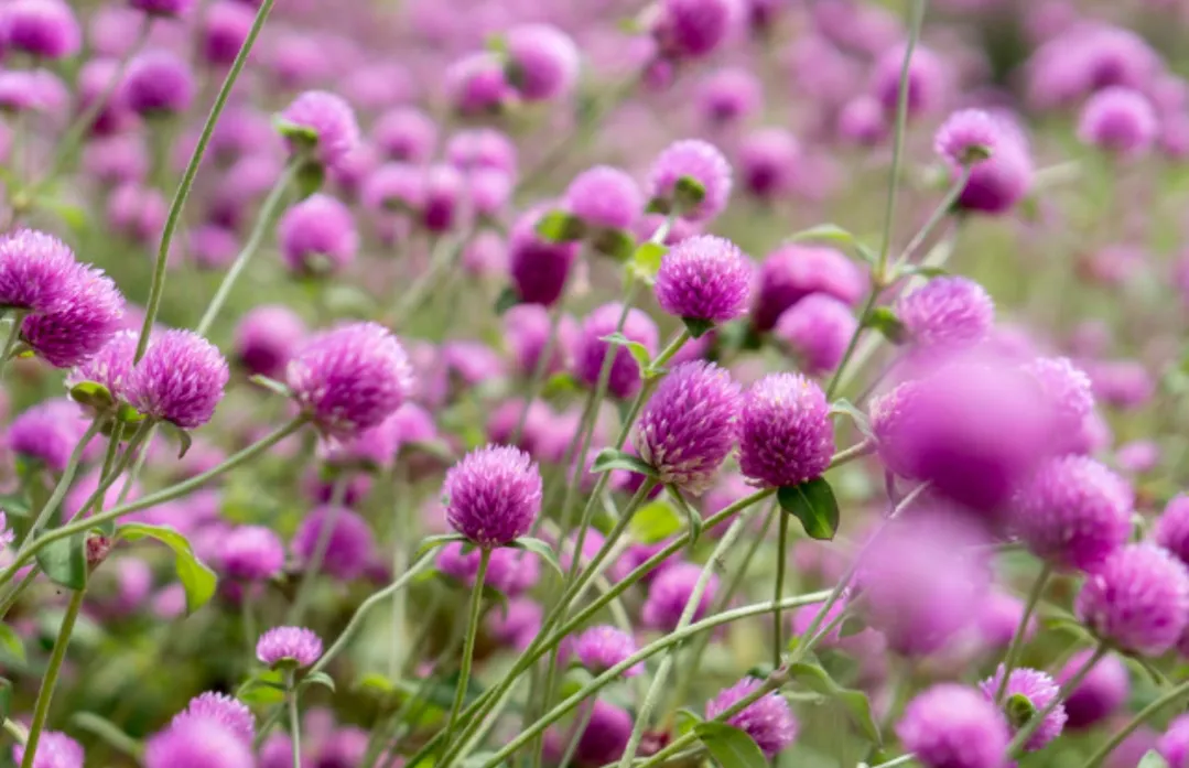 有哪些唯美治愈系短句子?