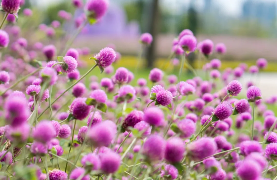 有哪些唯美治愈系短句子?