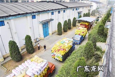 我想问一下粮食价3到5年后每斤能涨到10元以上吗?