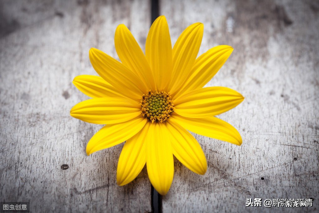 有哲理的好句子?