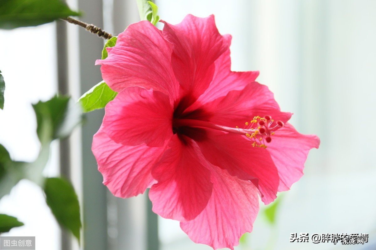 有哲理的好句子?