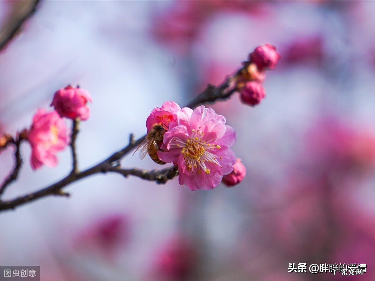 有哲理的好句子?