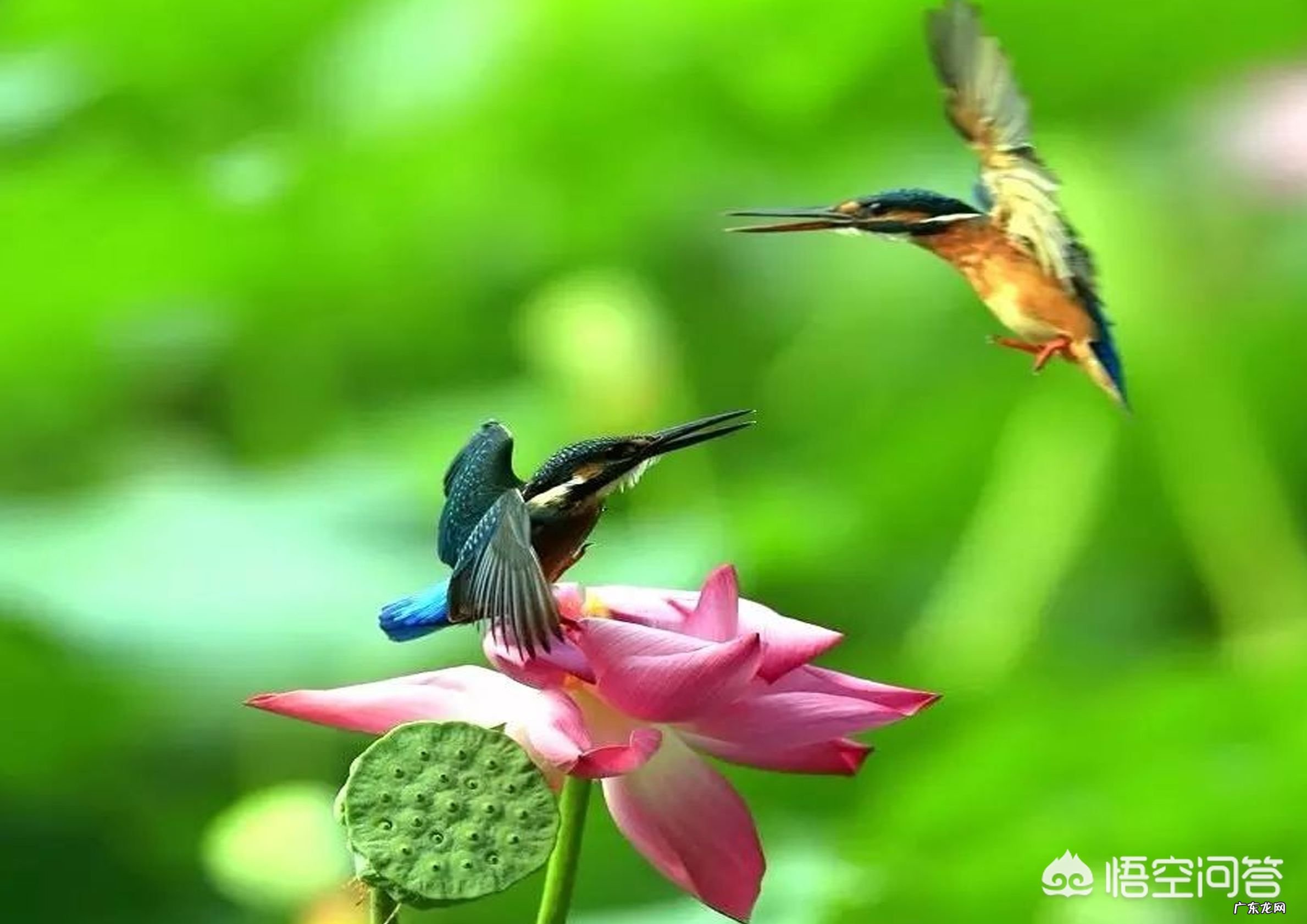 有哪些悲到骨子里的古风诗句值得推荐?