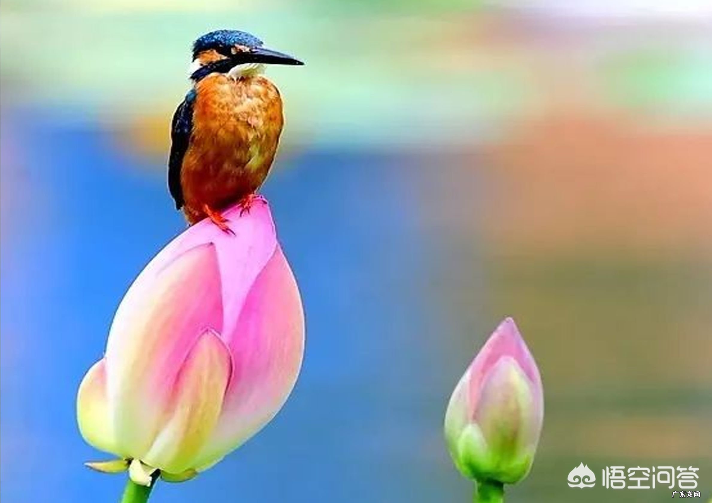 有哪些悲到骨子里的古风诗句值得推荐?