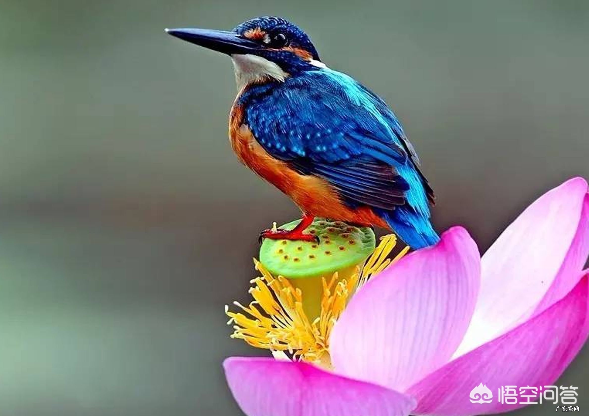 有哪些悲到骨子里的古风诗句值得推荐？