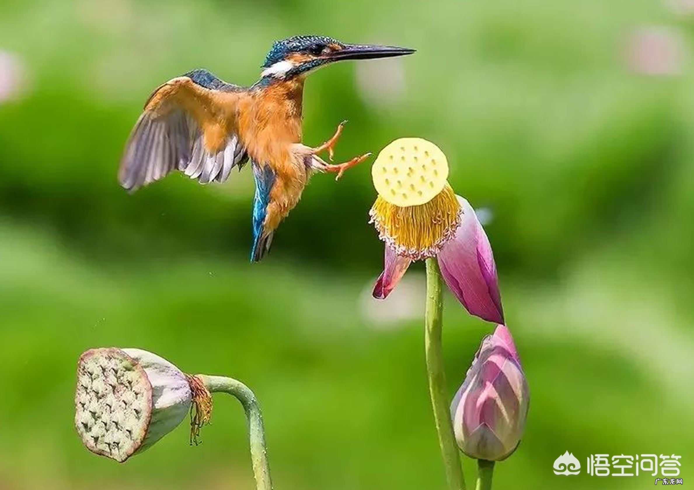 有哪些悲到骨子里的古风诗句值得推荐？