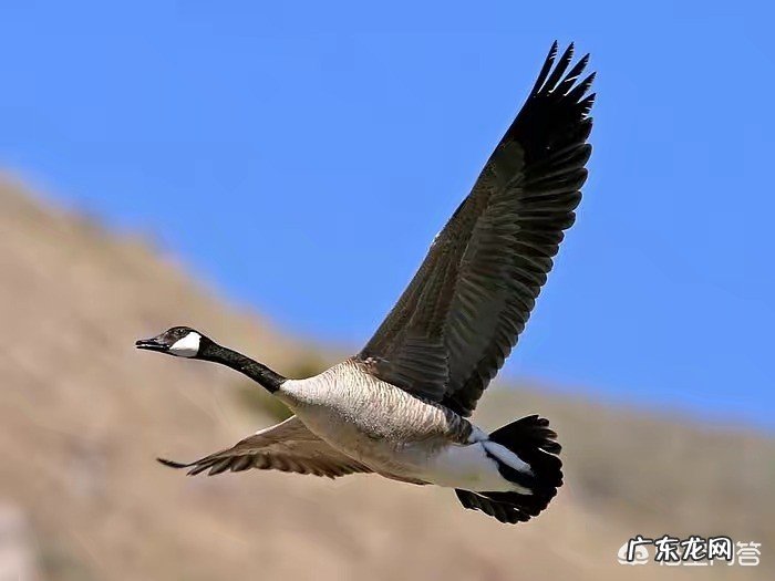 有没有人和自己一样在某一瞬间会感到莫名的忧伤?