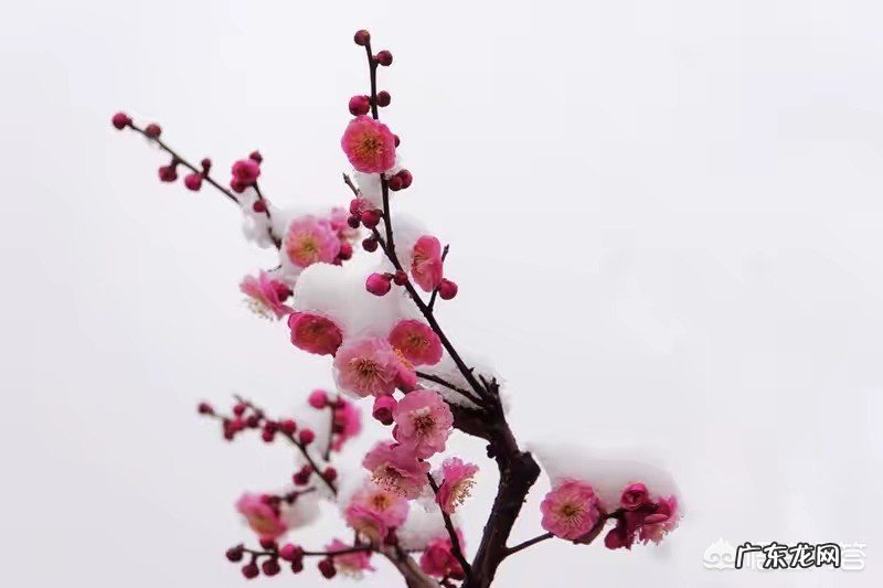 有没有人和自己一样在某一瞬间会感到莫名的忧伤?