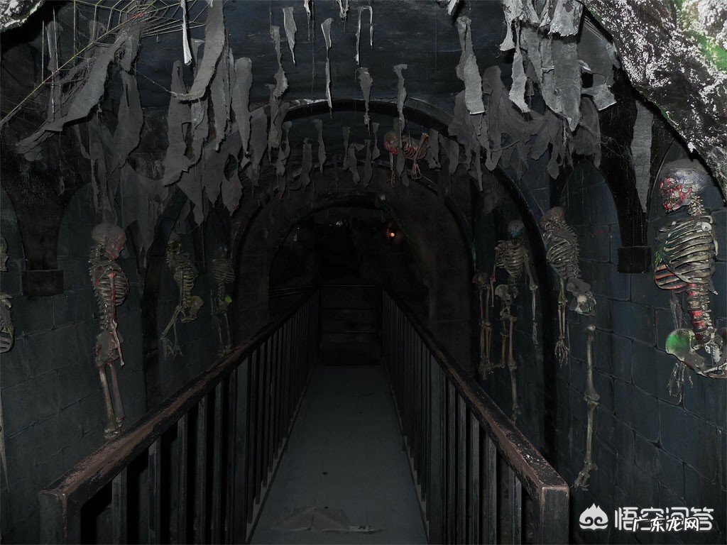 如果进入鬼屋之前,签了免责条款,但在游戏过程中受到惊吓过度,出现意外,是否免责?