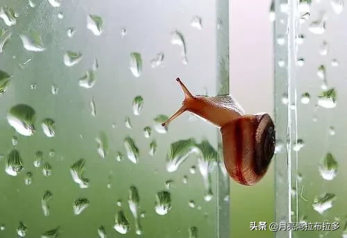 湿气缠身会有什么害处?怎么摆脱湿气?