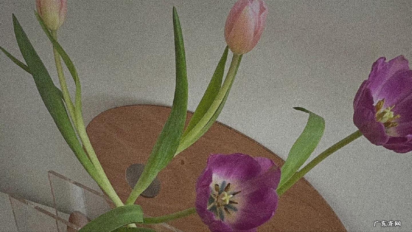 感情需要用心经营吗?