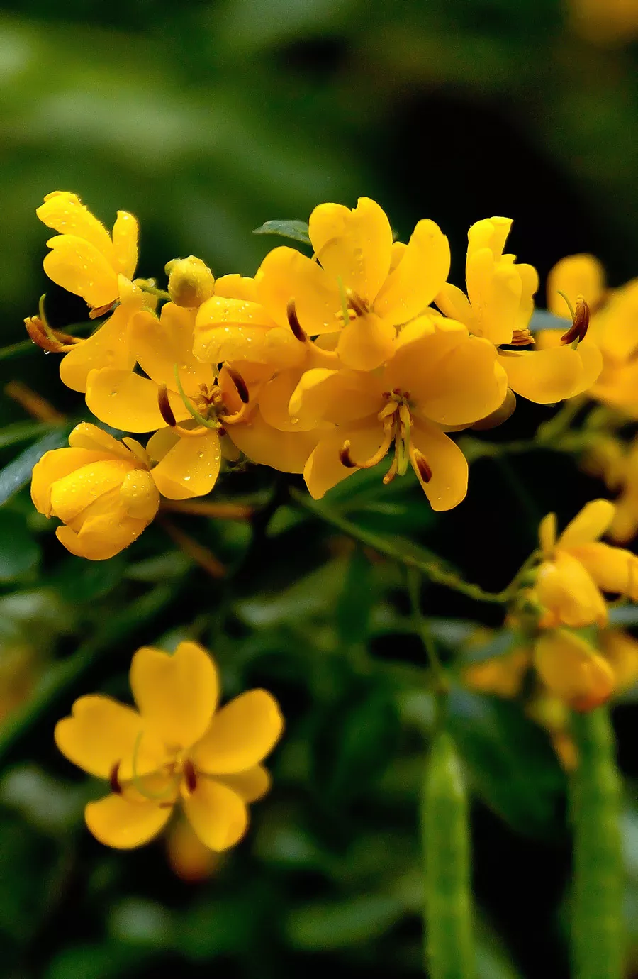 有什么情诗让你至今难忘?