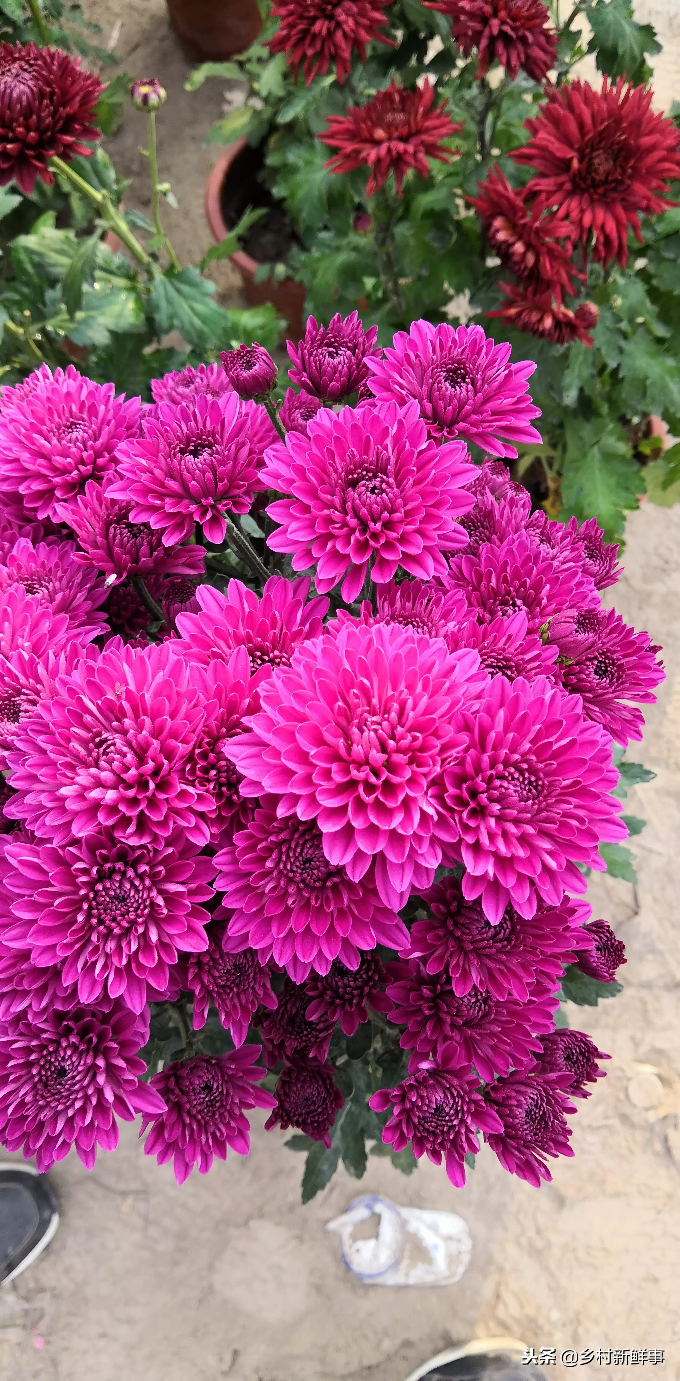 有什么情诗让你至今难忘?