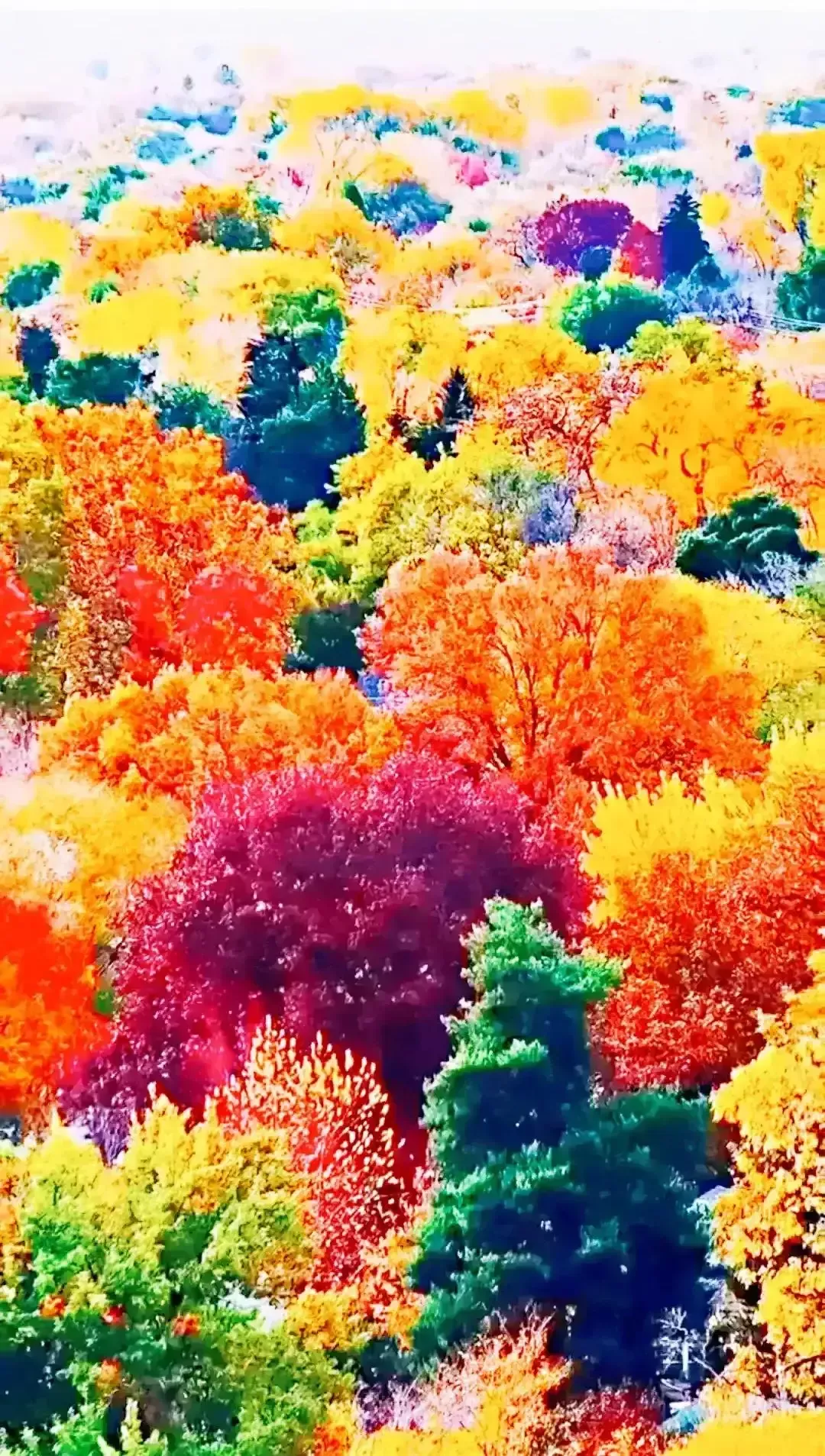 有什么情诗让你至今难忘?