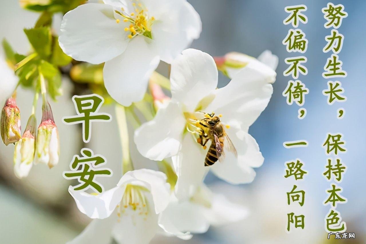 人生10大金句:幸福的秘密,全看你自己