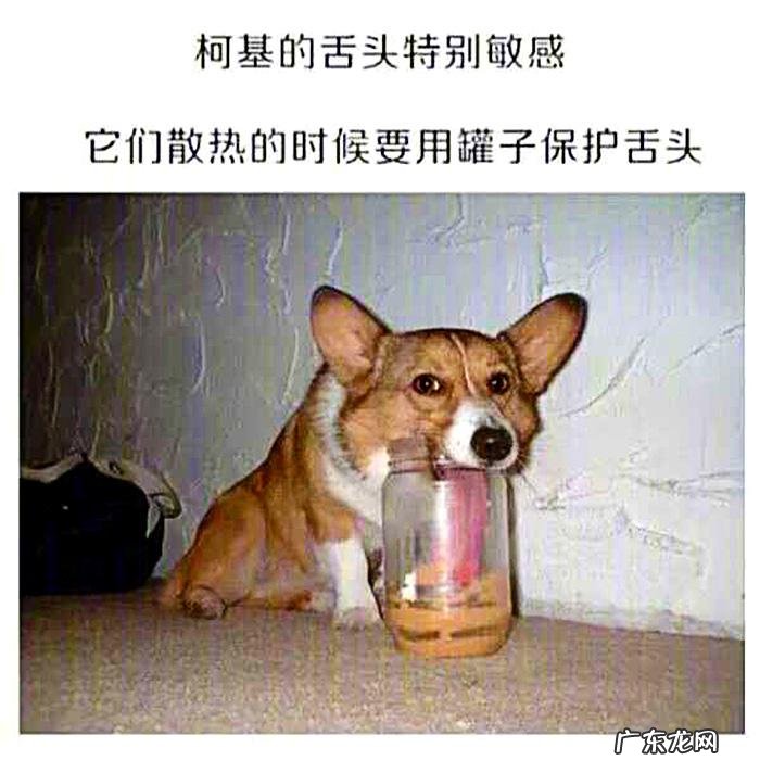 搞笑奇葩冷知识 搞笑冷知识素材图片