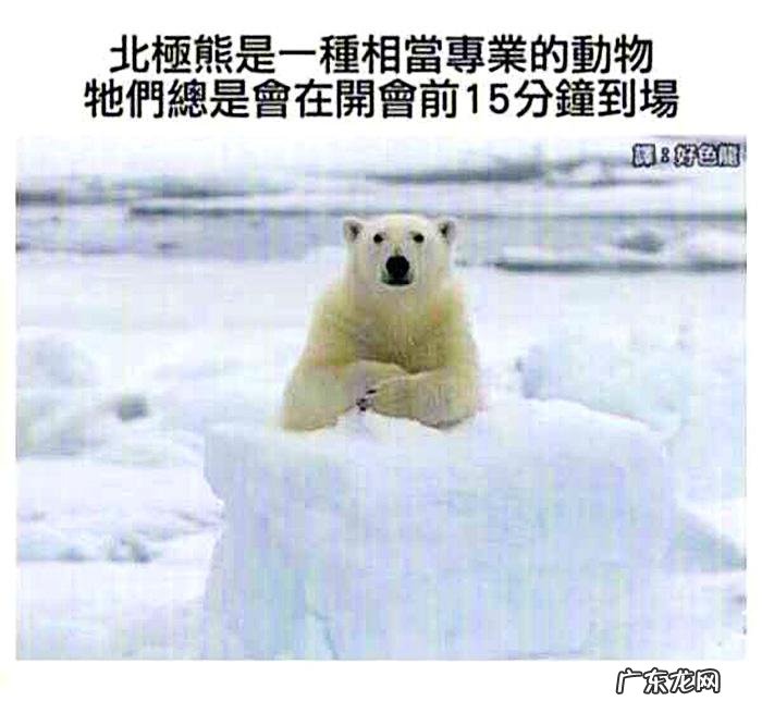 搞笑奇葩冷知识 搞笑冷知识素材图片