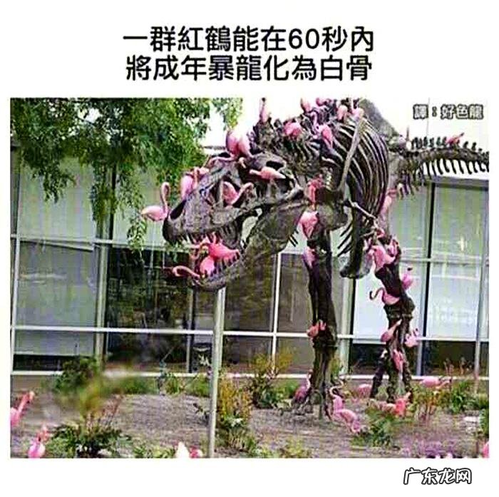 搞笑奇葩冷知识 搞笑冷知识素材图片