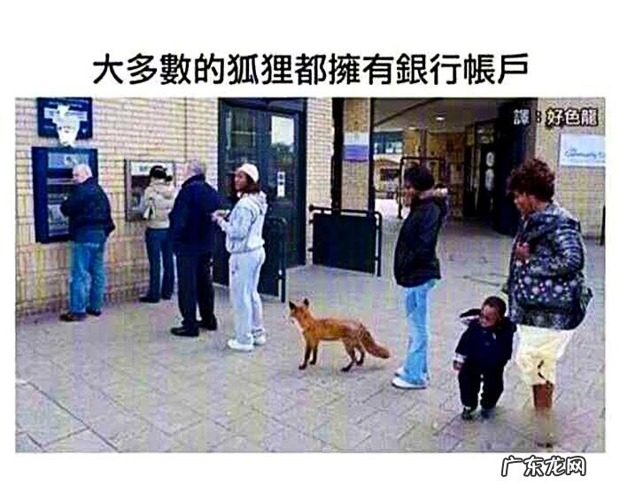 搞笑奇葩冷知识 搞笑冷知识素材图片