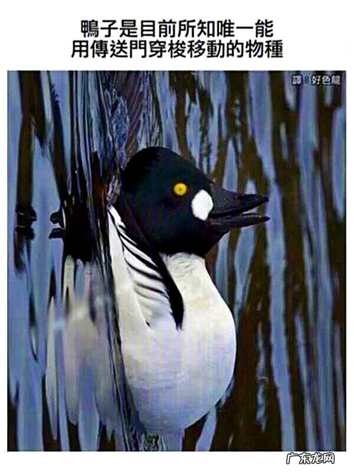 搞笑奇葩冷知识 搞笑冷知识素材图片