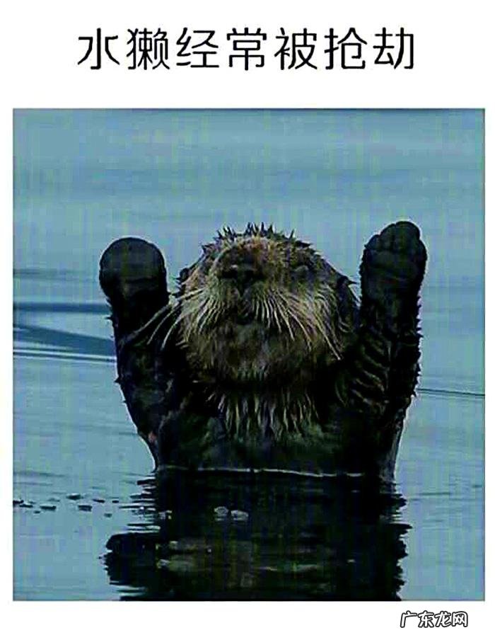 搞笑奇葩冷知识 搞笑冷知识素材图片