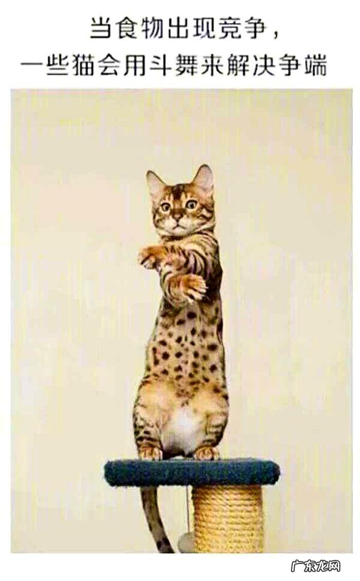 搞笑奇葩冷知识 搞笑冷知识素材图片