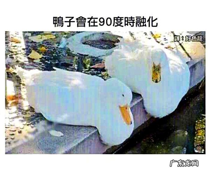 搞笑奇葩冷知识 搞笑冷知识素材图片