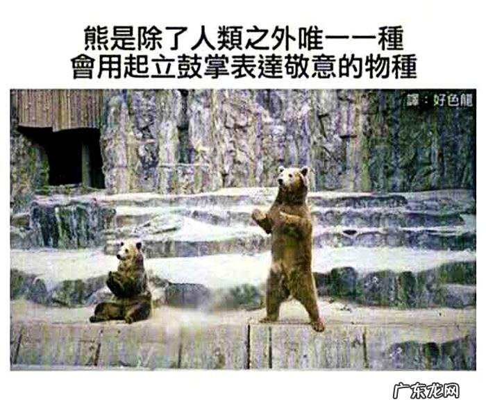 搞笑奇葩冷知识 搞笑冷知识素材图片