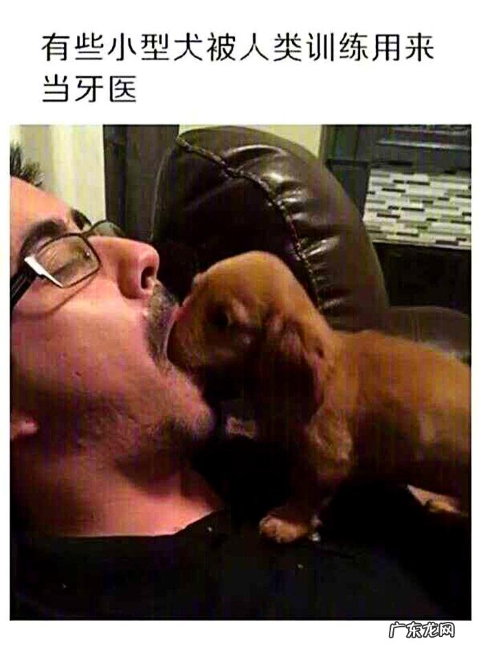 搞笑奇葩冷知识 搞笑冷知识素材图片