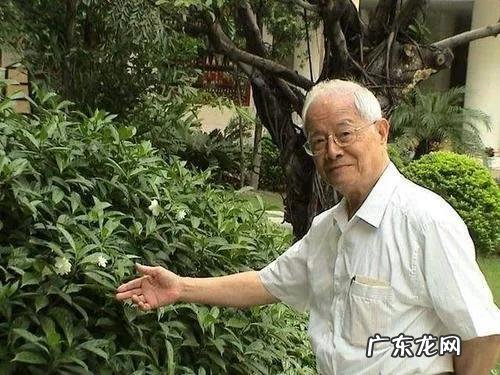 养生知识配图 养生保健图片大全图片