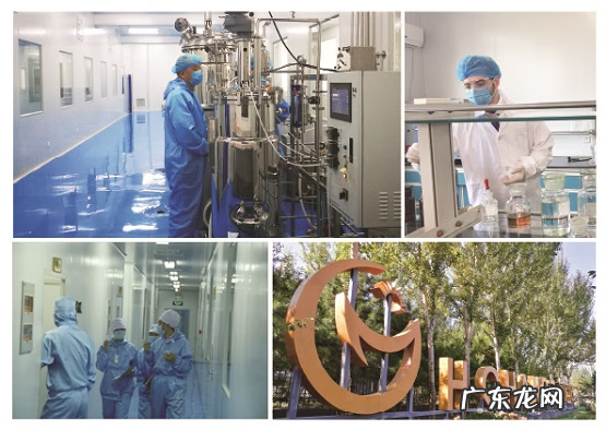 汉臣氏是哪个国家的品牌 汉臣氏