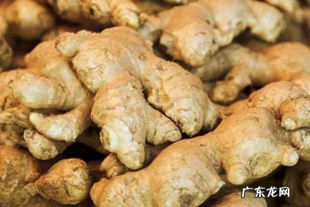 床底可以放东西吗风水 床上放什么可以改变下风水