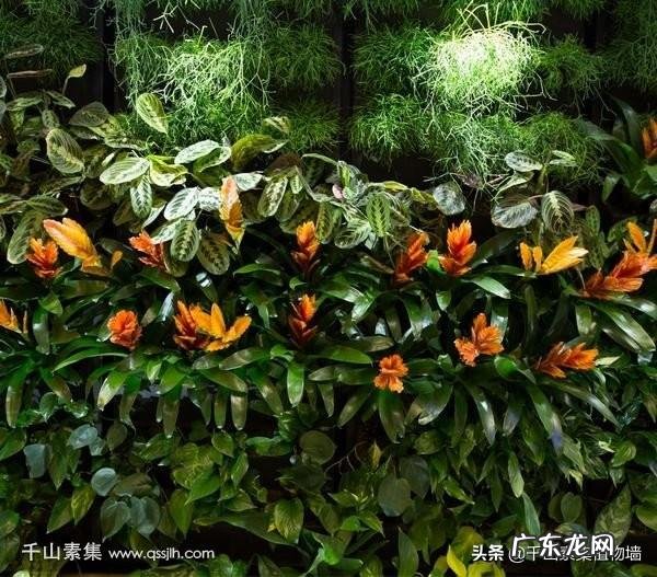 易玄堂风水 在风水千山